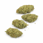 LONDON POUND CAKE - INDOOR