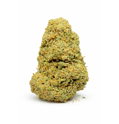 MIMOSA - INDOOR