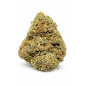MOTOR BREATH - INDOOR MOTOR BREATH - INDOOR
