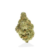 SHERBLATO - INDOOR