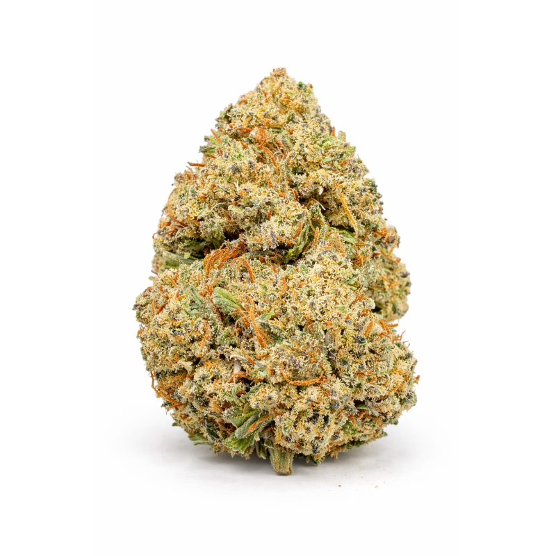 ZOAP - INDOOR ZOAP - INDOOR