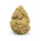 ZOAP - INDOOR ZOAP - INDOOR