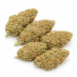 APPLE FRITTER - HYDROPONIC