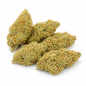 AMNESIA - HYDROPONIC