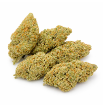 AMNESIA - HYDROPONIC