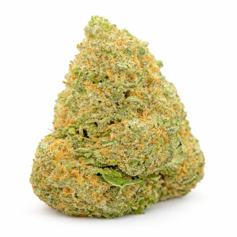 FROSTED SUNSET - HYDROPONIC