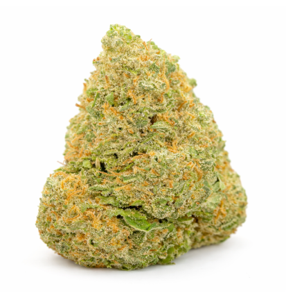 FROSTED SUNSET - HYDROPONIC