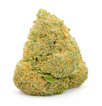 FROSTED SUNSET - HYDROPONIC