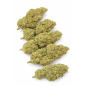 FROSTED SUNSET - HYDROPONIC