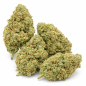 NORTHERN LIGHT - HYDROPONIC NORTHERN LIGHT - HYDROPONIC