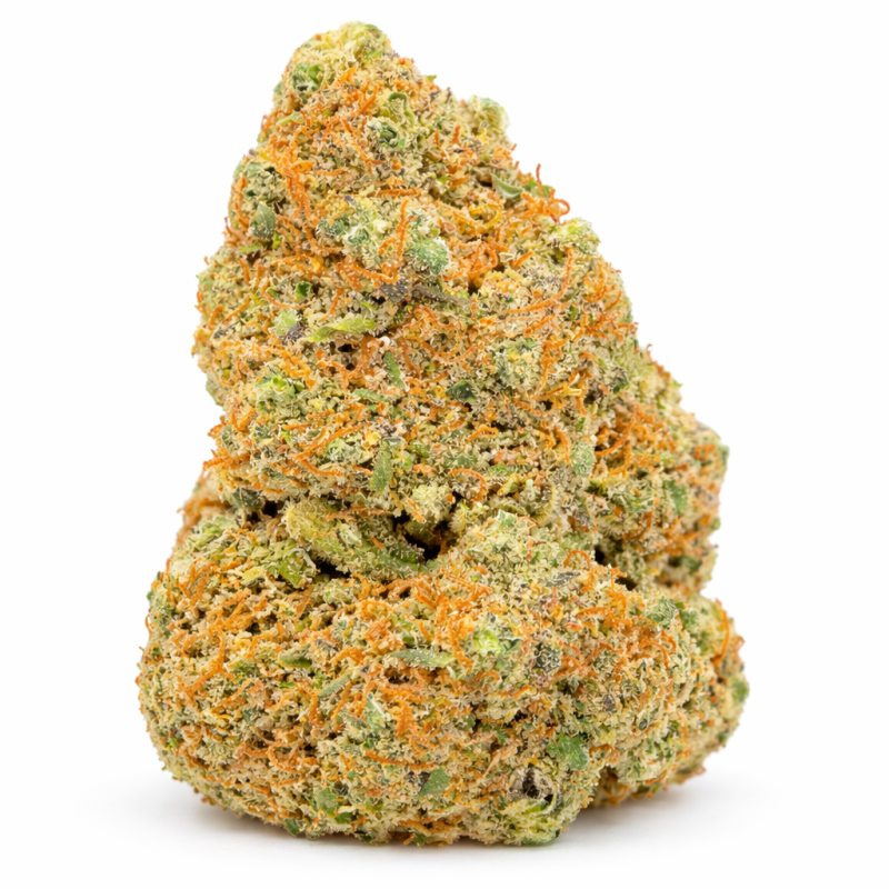 GIRL SCOUT COOKIE - HYDROPONIC GIRL SCOUT COOKIE - HYDROPONIC