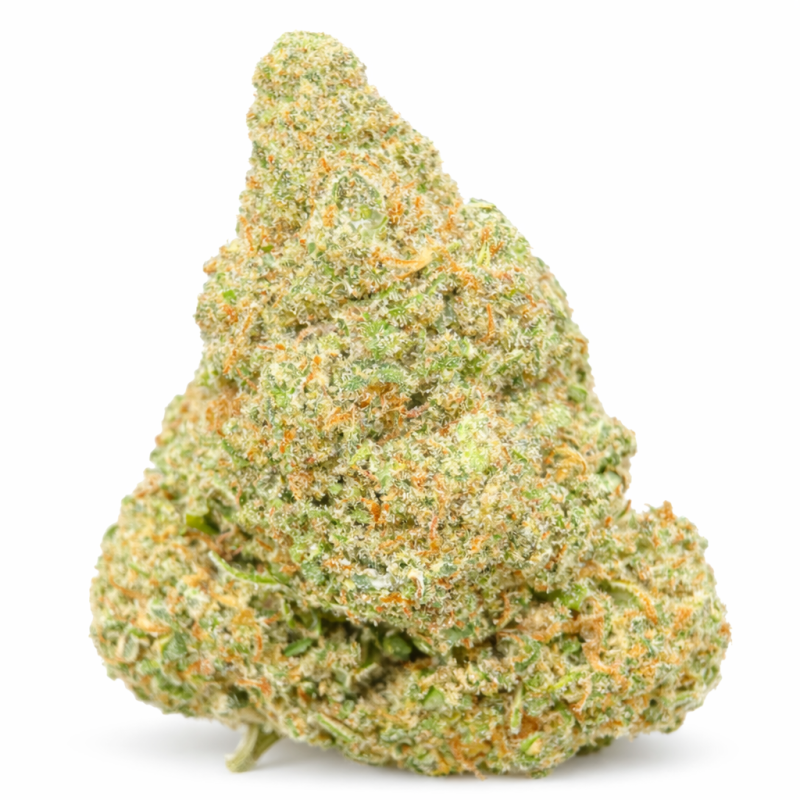 GLOOKIE - HYDROPONIC GLOOKIE - HYDROPONIC