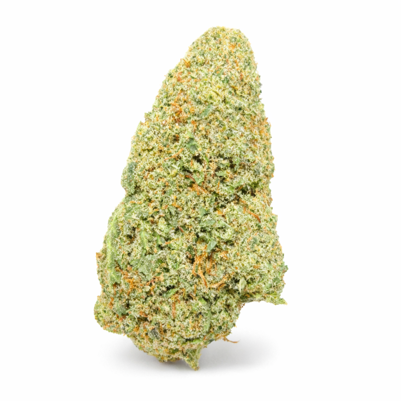 GRAPE N CHEESE - HYDROPONIC GRAPE N CHEESE - HYDROPONIC