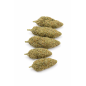 GRAPE N CHEESE - HYDROPONIC GRAPE N CHEESE - HYDROPONIC