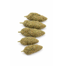 GRAPE N CHEESE - HYDROPONIC