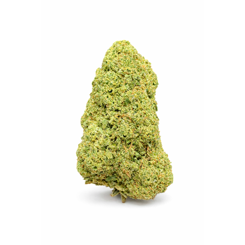GREEN CRACK - HYDROPONIC GREEN CRACK - HYDROPONIC