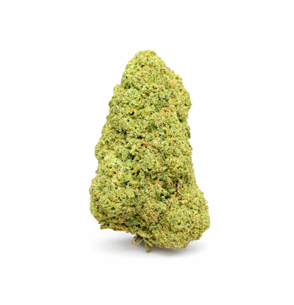GREEN CRACK - HYDROPONIC