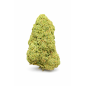 GREEN CRACK - HYDROPONIC GREEN CRACK - HYDROPONIC