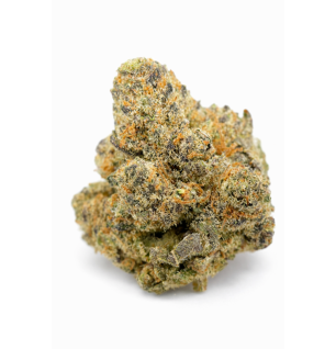 MAC 1 - HYDROPONIC