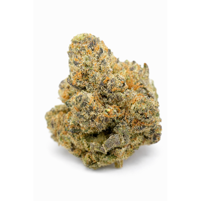 MAC 1 - HYDROPONIC MAC 1 - HYDROPONIC