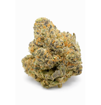 MAC 1 - HYDROPONIC