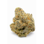 MAC 1 - HYDROPONIC MAC 1 - HYDROPONIC