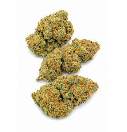 MAC 1 - HYDROPONIC