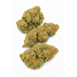 MAC 1 - HYDROPONIC MAC 1 - HYDROPONIC