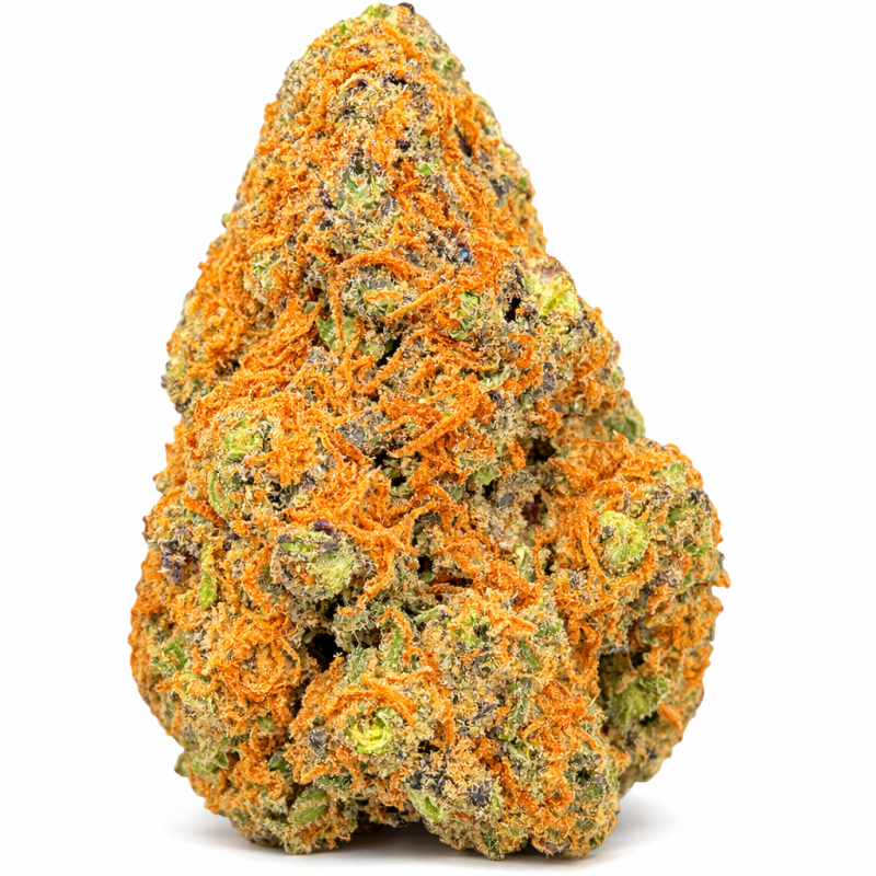 PURPLE PUNCH - HYDROPONIC PURPLE PUNCH - HYDROPONIC