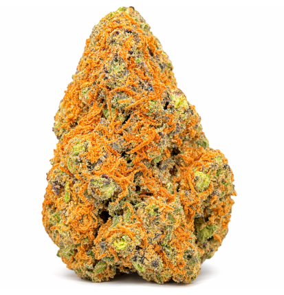 PURPLE PUNCH - HYDROPONIC