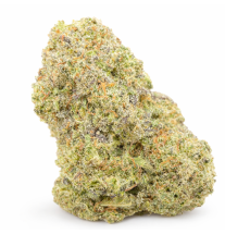 WEDDING CRASHER - HYDROPONIC
