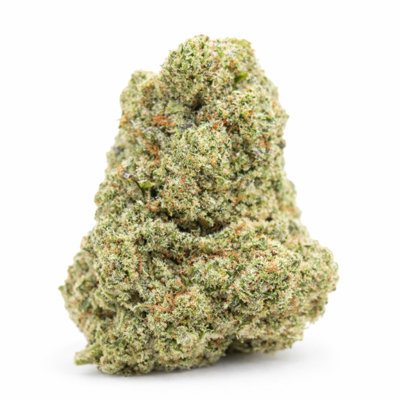 WHITE RHINO - HYDROPONIC WHITE RHINO - HYDROPONIC