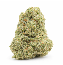 WHITE RHINO - HYDROPONIC