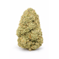 AMNESIA OG - GLASSHOUSE AMNESIA OG - GLASSHOUSE