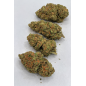 AMNESIA OG - GLASSHOUSE AMNESIA OG - GLASSHOUSE