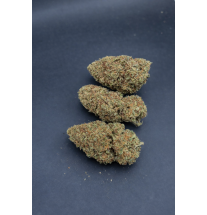 BUDDHA CARAMEL - GLASSHOUSE