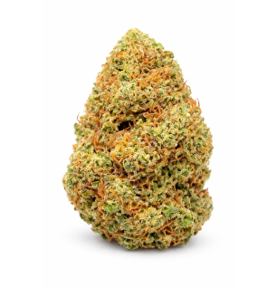 FRUIT CAKE - GLASSHOUSE