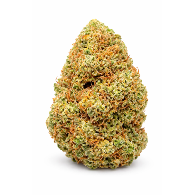 FRUIT CAKE - GLASSHOUSE