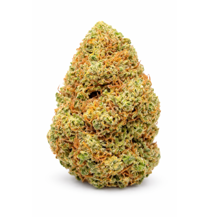 FRUIT CAKE - GLASSHOUSE