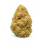 FRUIT CAKE - GLASSHOUSE