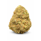 GORILLA GLUE - GLASSHOUSE