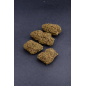 GORILLA GLUE - GLASSHOUSE