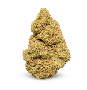 GORILLA KUSH - GLASSHOUSE