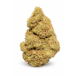 GORILLA KUSH - GLASSHOUSE