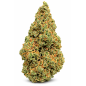PINEAPPLE EXPRESS - GLASSHOUSE PINEAPPLE EXPRESS - GLASSHOUSE