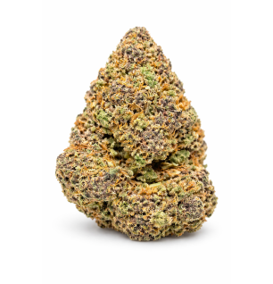 PURPLE PUNCH - GLASSHOUSE