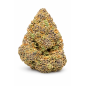 PURPLE PUNCH - GLASSHOUSE PURPLE PUNCH - GLASSHOUSE