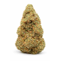 TROP CHERRY - GLASSHOUSE TROP CHERRY - GLASSHOUSE
