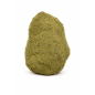 EARTHROCK 60%