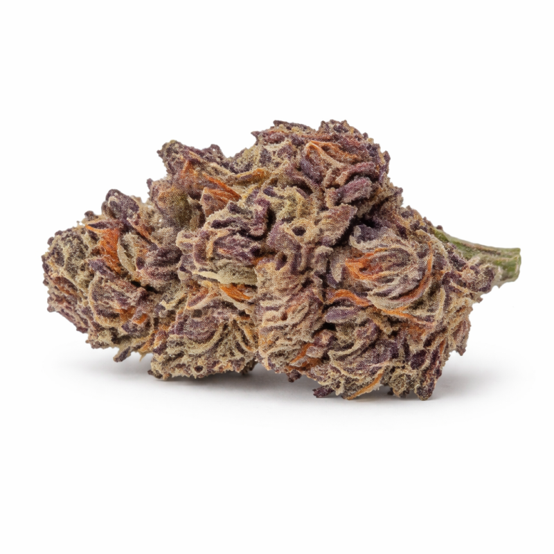 PURPLE HAZ - SMALLBUD